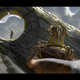Image for article titled Arise